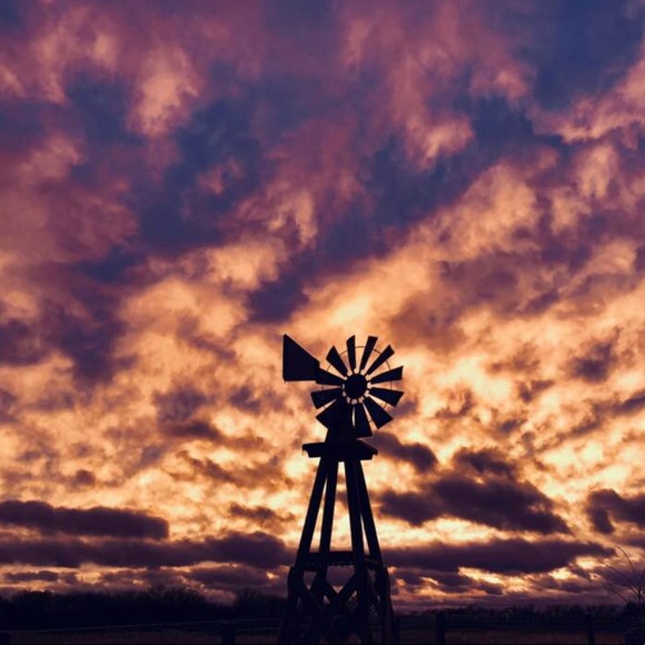 Meet your Posher, Jessica - Picture 1 of 1